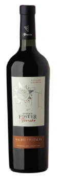 foster-terruno-vistalba.JPG